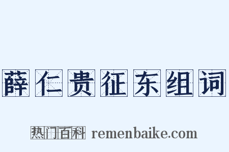 薛仁贵征东组词是什么意思的图片